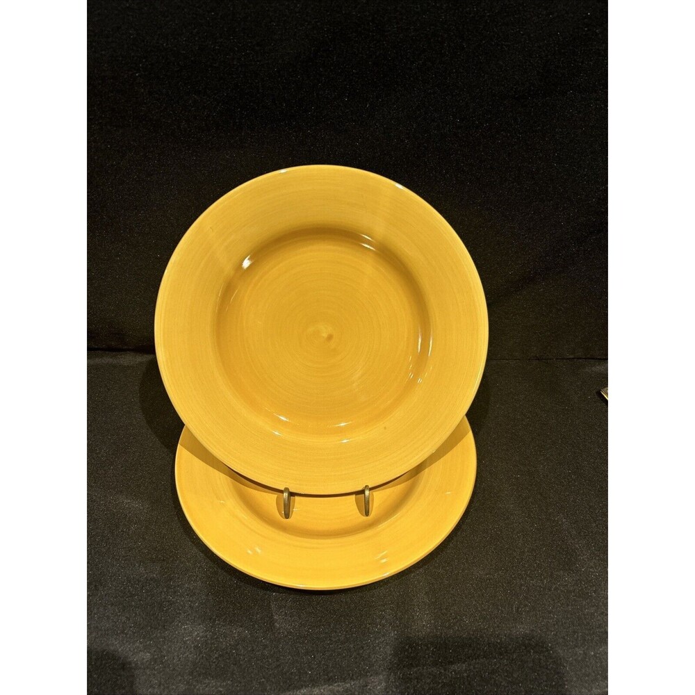 Pier 1 Imports Essential Colors Yellow Earthenware Round 8.5” Plates Set Of 2
